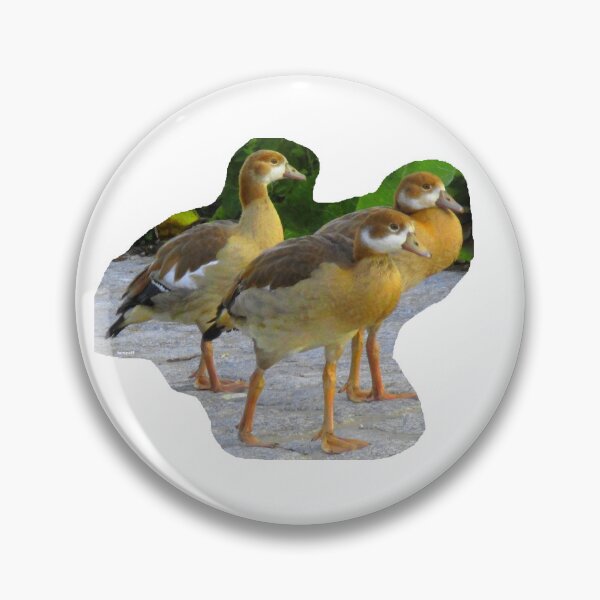 Item preview, 3 goose teenagers designed and sold by ZoffArt-Shop.