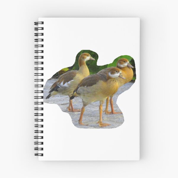 Item preview, 3 goose teenagers designed and sold by ZoffArt-Shop.