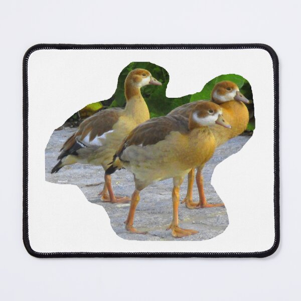 Item preview, 3 goose teenagers designed and sold by ZoffArt-Shop.