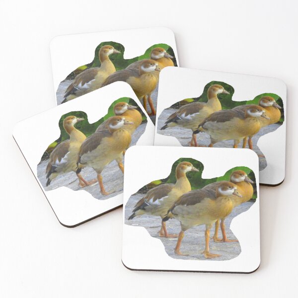 Item preview, 3 goose teenagers designed and sold by ZoffArt-Shop.