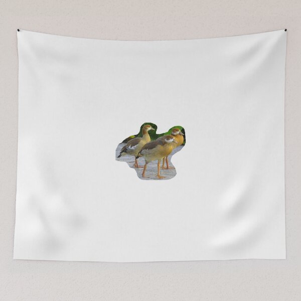 Item preview, 3 goose teenagers designed and sold by ZoffArt-Shop.