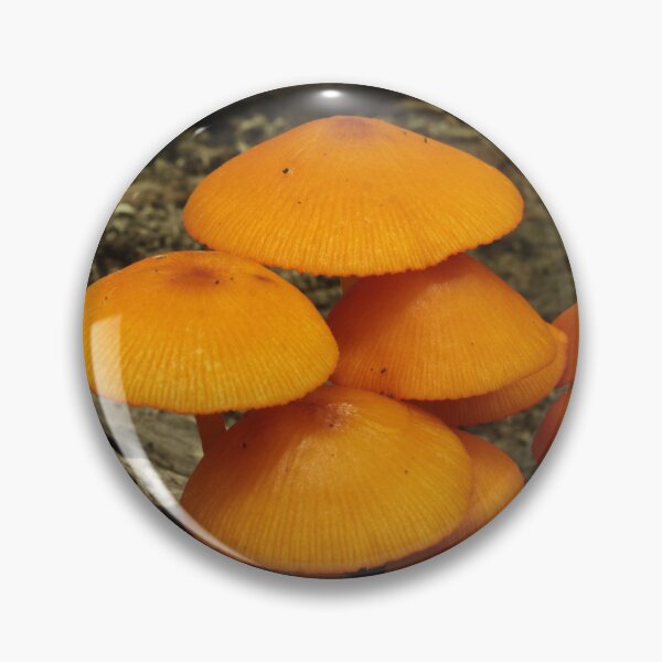 Item preview, Orange Mycena Cluster designed and sold by WolfNoodles.