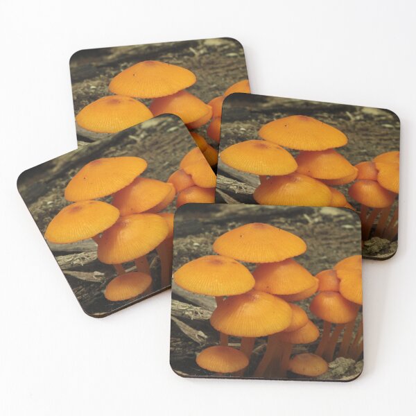Item preview, Orange Mycena Cluster designed and sold by WolfNoodles.