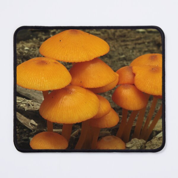 Item preview, Orange Mycena Cluster designed and sold by WolfNoodles.