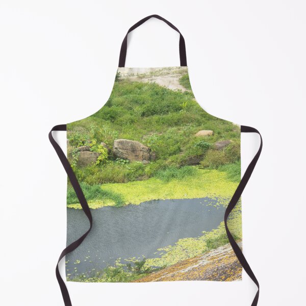 Item preview, small lake in the mountain designed and sold by felipequeiroz.