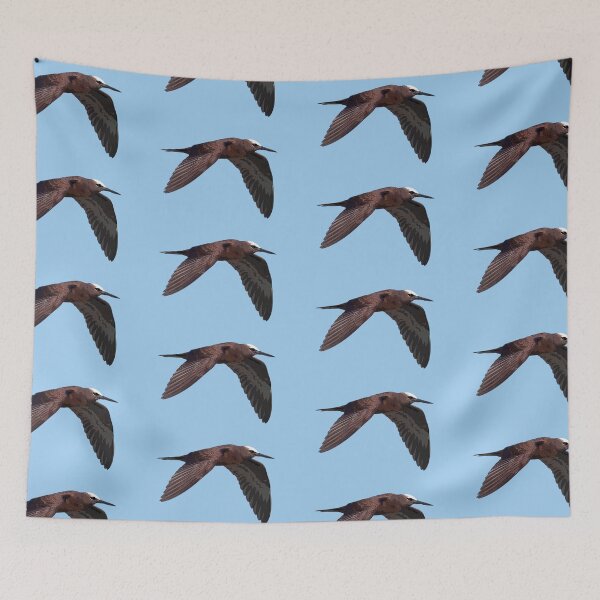 Item preview, Black Noddy Flying Color Design  designed and sold by designsasstultd.