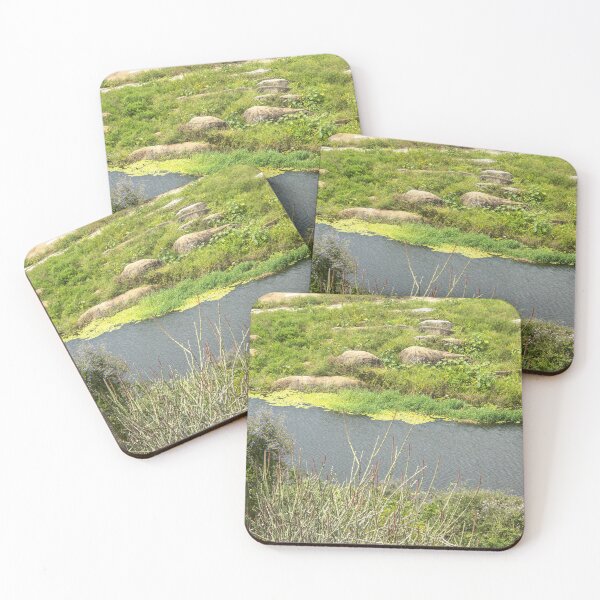 Item preview, A simple lake designed and sold by felipequeiroz.