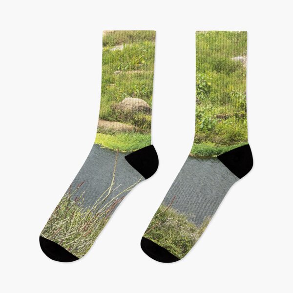 Item preview, A simple lake designed and sold by felipequeiroz.