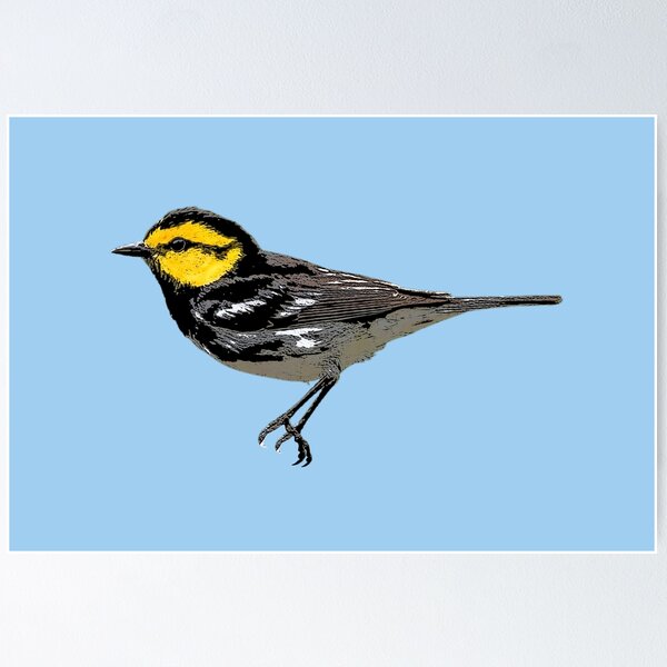 Item preview, Golden-cheeked Warbler Color Design  designed and sold by designsasstultd.