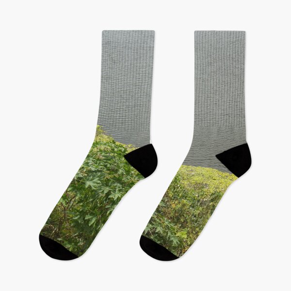 Artikelvorschau, Vegetation an den Flussufern entworfen und verkauft von felipequeiroz.