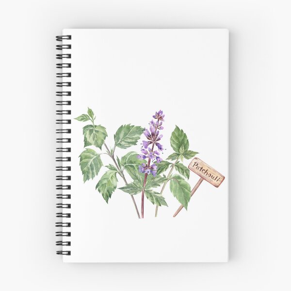 Item preview, Patchouli Watercolor Illustration designed and sold by Flowersforbear.