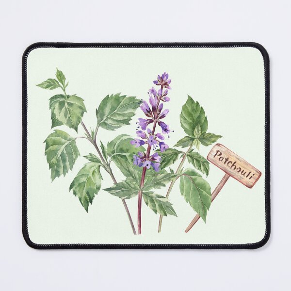 Item preview, Patchouli Watercolor Illustration designed and sold by Flowersforbear.