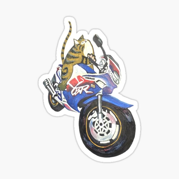 Wesley on his Fireblade Sticker