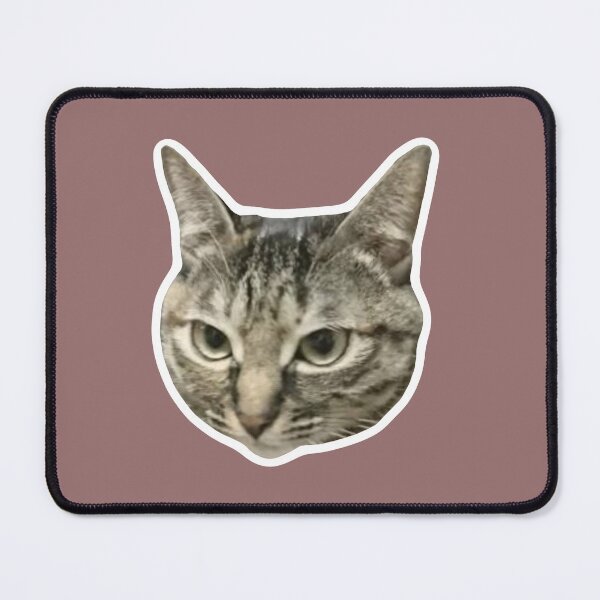 Item preview, MEME - Serious Tabby Cat (Collection6-6) designed and sold by MetichaiTH.