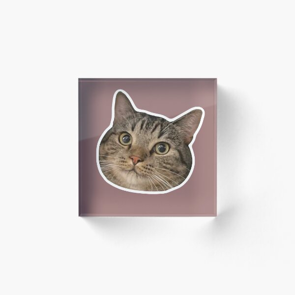 Item preview, MEME - Smug Orange Cat (Collection6-7) designed and sold by MetichaiTH.
