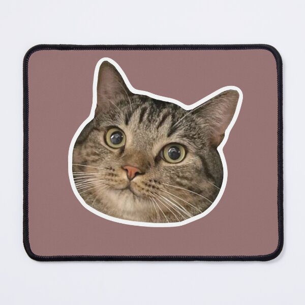 Item preview, MEME - Smug Orange Cat (Collection6-7) designed and sold by MetichaiTH.