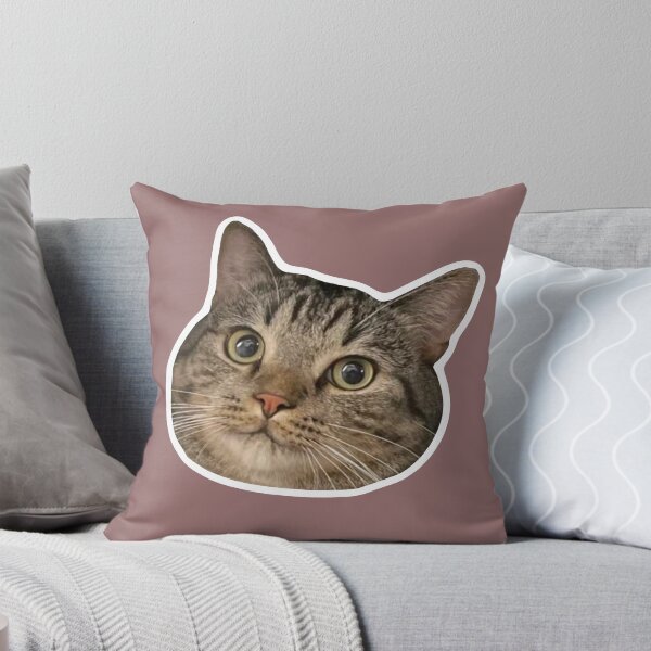 Aperçu de l'œuvre MEME - Smug Orange Cat (Collection6-7) créée et vendue par MetichaiTH.