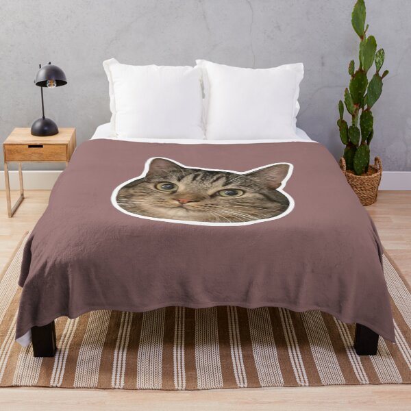Item preview, MEME - Smug Orange Cat (Collection6-7) designed and sold by MetichaiTH.