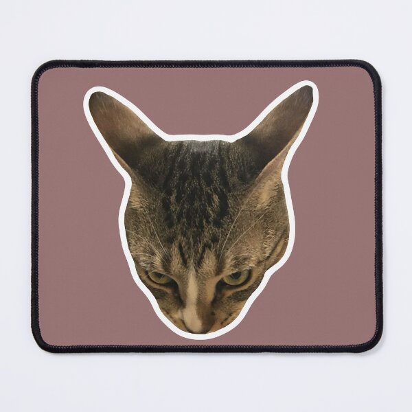 Item preview, MEME - Sharp-Eyed Cat Ready to Pounce (Collection6-8) designed and sold by MetichaiTH.