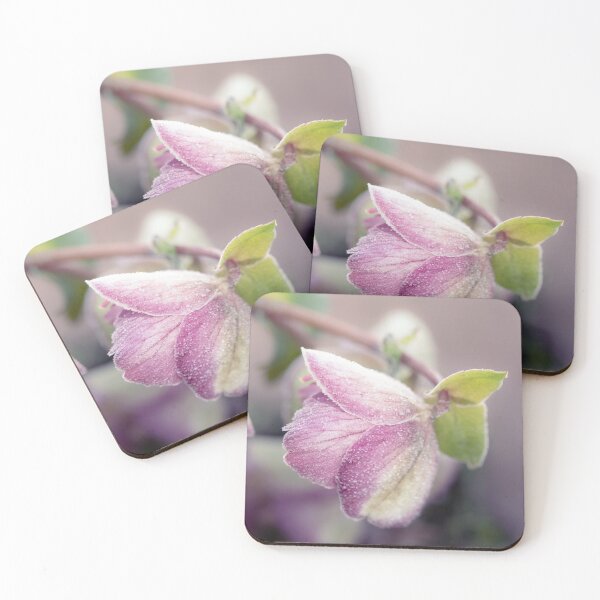Item preview, Frosty Helleborus designed and sold by Tanya C  Smith.