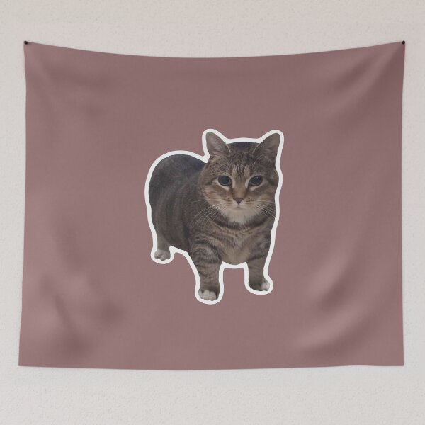 Item preview, MEME - Tiny Cat Standing Confidently (Collection6-12) designed and sold by MetichaiTH.