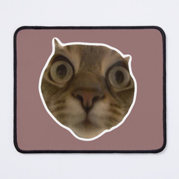 Item preview, MEME - Fluffy Cat Looking Unimpressed (Collection6-14) designed and sold by MetichaiTH.