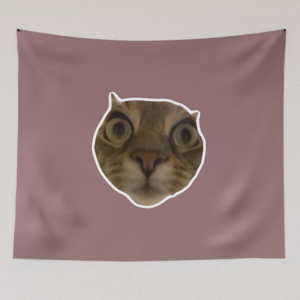 Item preview, MEME - Fluffy Cat Looking Unimpressed (Collection6-14) designed and sold by MetichaiTH.