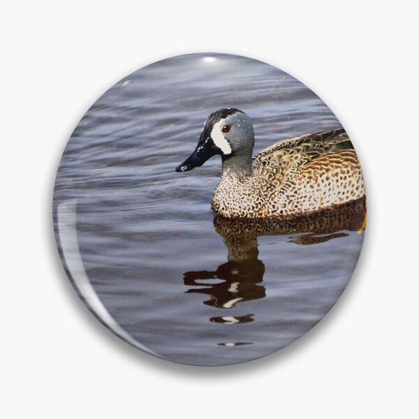Item preview, Blue Winged Teal designed and sold by MercerImages.