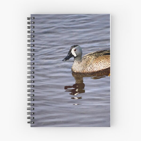 Item preview, Blue Winged Teal designed and sold by MercerImages.