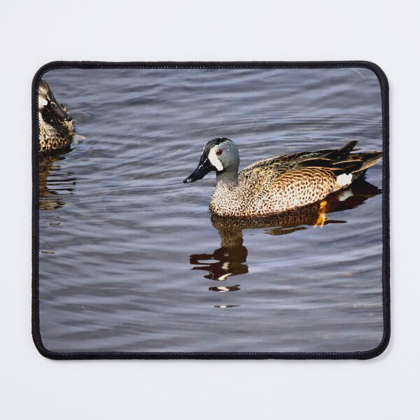 Item preview, Blue Winged Teal designed and sold by MercerImages.