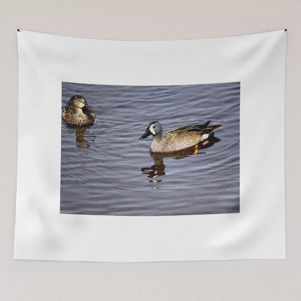 Item preview, Blue Winged Teal designed and sold by MercerImages.
