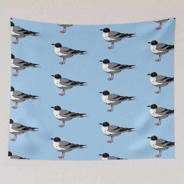 Item preview, Swallow-tailed Gull Color Design  designed and sold by designsasstultd.
