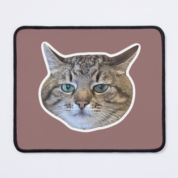 Item preview, MEME - Cool Blue-Eyed Cat with Glassy Stare (Collection6-15) designed and sold by MetichaiTH.
