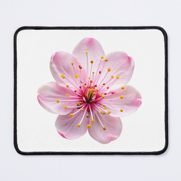 Item preview, cherry flower designed and sold by jkrphoto.