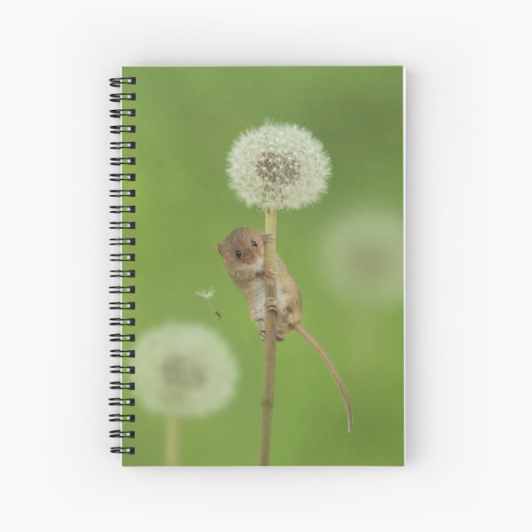 Item preview, Harvest Mouse on a dandelion by Miles Herbert designed and sold by Miles Herbert.