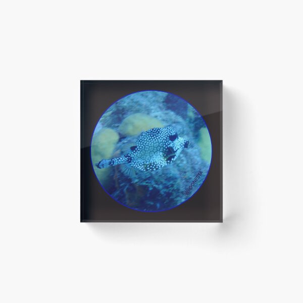 Item preview, Underwater - Smooth Trunk  Fish by Wagonesta  designed and sold by Wagonesta.