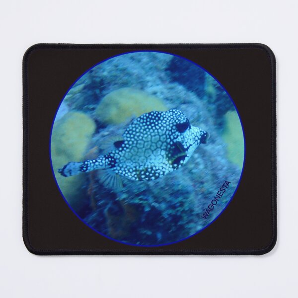 Item preview, Underwater - Smooth Trunk Fish by Wagonesta designed and sold by Wagonesta.