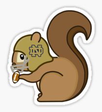 ND Fußball Eichhörnchen Sticker