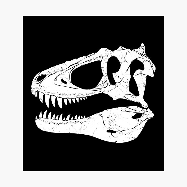 Artikel-Vorschau von Lythronax Fossil Schädel, designt und verkauft von NicGrayGraphic.