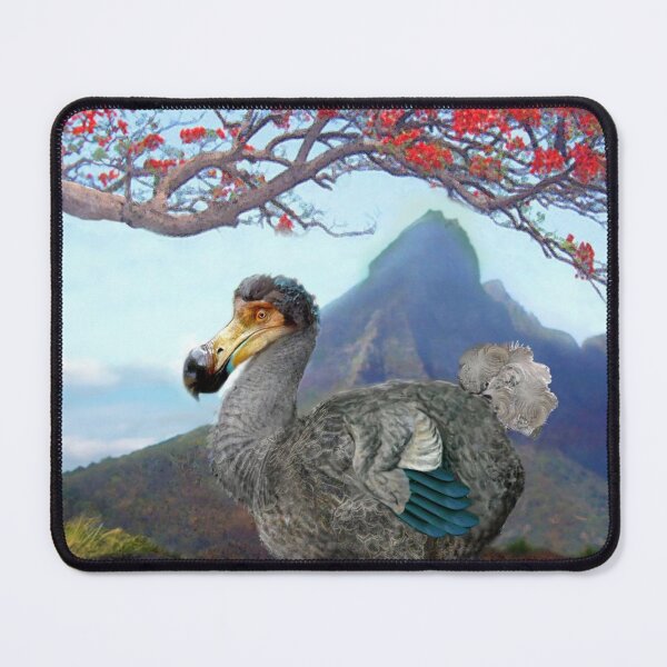 Item preview, The Dodo eyeing up the phelsuma designed and sold by Bill Brouard.