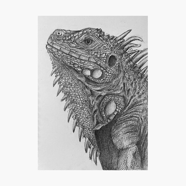 Vista previa del artículo con la obra «Iguana», diseñado y vendido por Mary.MuseArt.