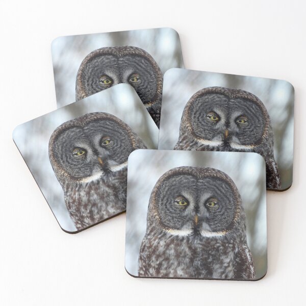 Item preview, CLEOPATRA the great gray owl designed and sold by locustgirl.