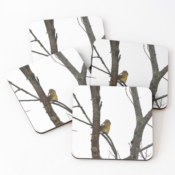 Item preview, Female attractions. Parrot crossbill designed and sold by Jouko Lehto Photography.