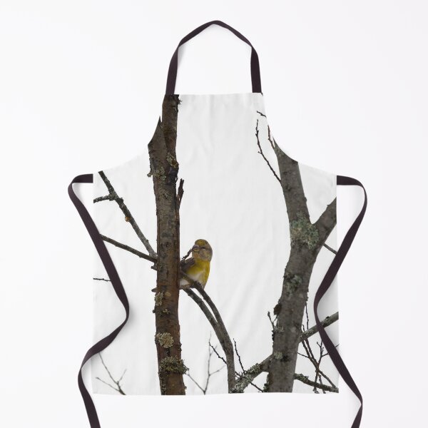 Item preview, Female attractions. Parrot crossbill designed and sold by Jouko Lehto Photography.