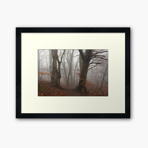 Item preview, A foggy day in the forest designed and sold by Trine.