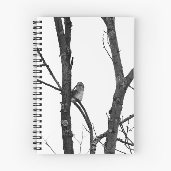 Item preview, Female attractions. Parrot crossbill bw designed and sold by Jouko Lehto Photography.