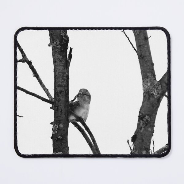Item preview, Female attractions. Parrot crossbill bw designed and sold by Jouko Lehto Photography.