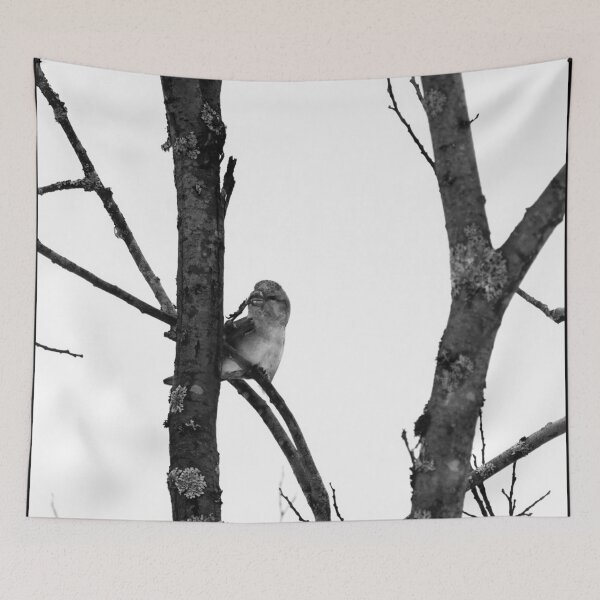 Item preview, Female attractions. Parrot crossbill bw designed and sold by Jouko Lehto Photography.