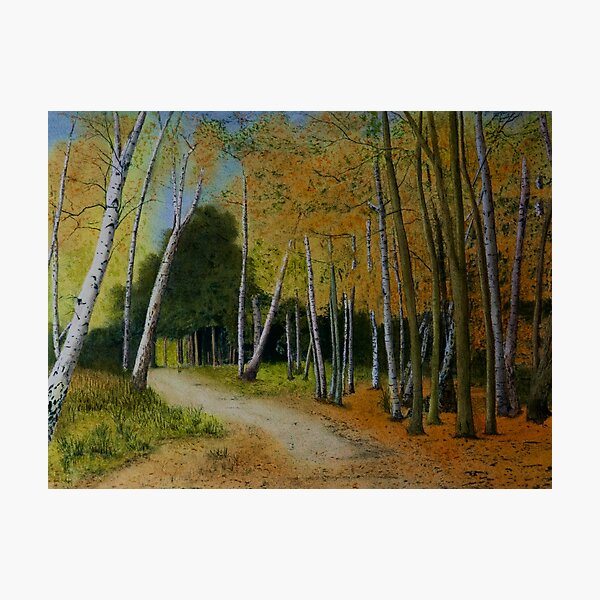 Item preview, Autumn Woodland in watercolour designed and sold by SeanSmithArt.