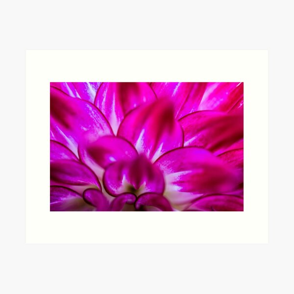 Item preview, Dahlia macro  designed and sold by Prince of Nature.